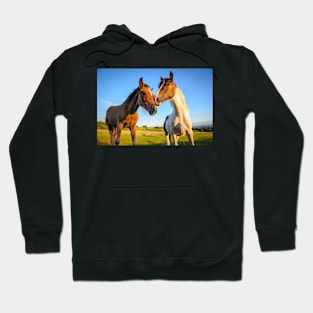 Companions#1 Hoodie